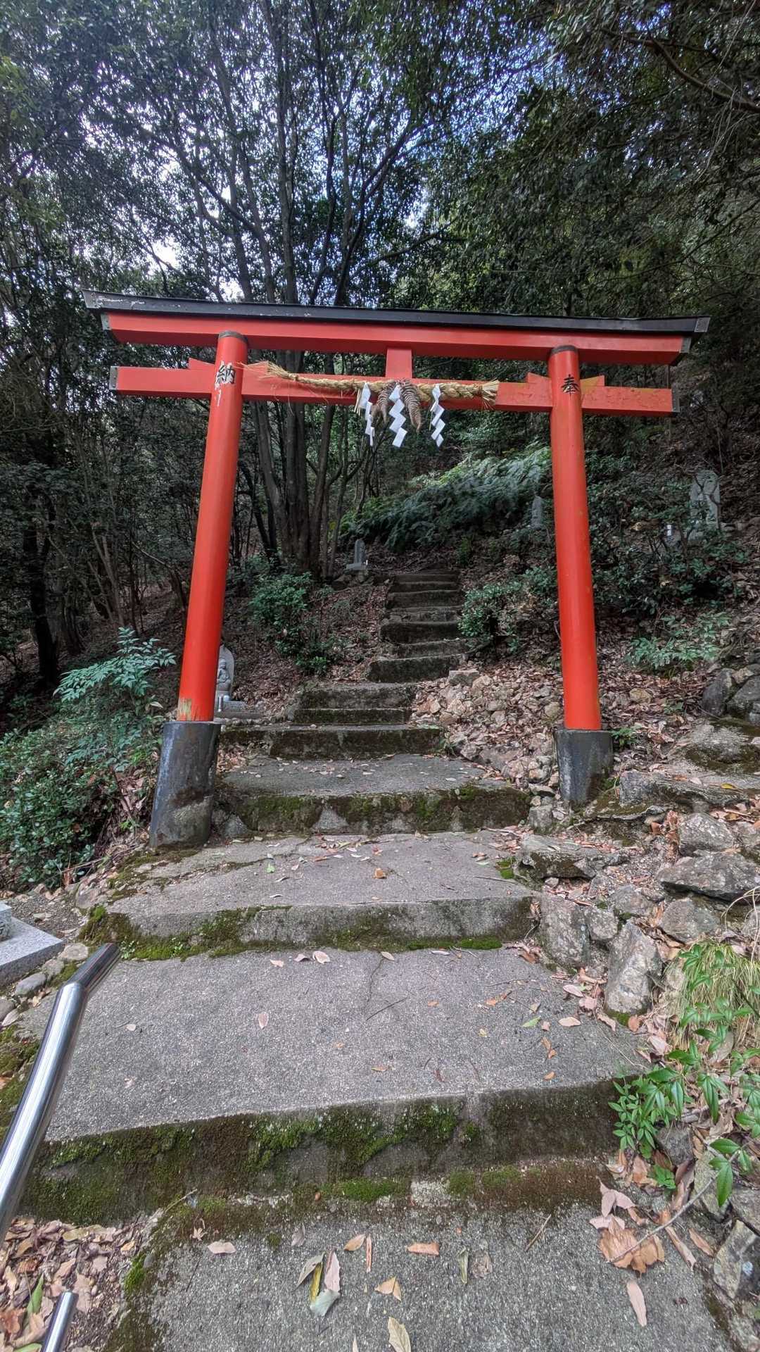小富士山 往復コースの写真