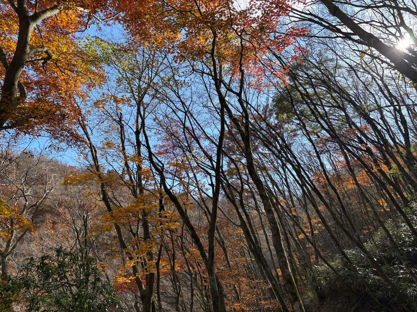 人も少なめで静か