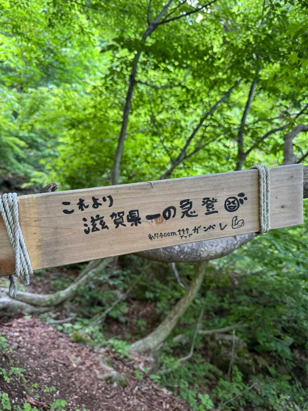 横山岳　白谷本流〜東尾根コ－スの写真