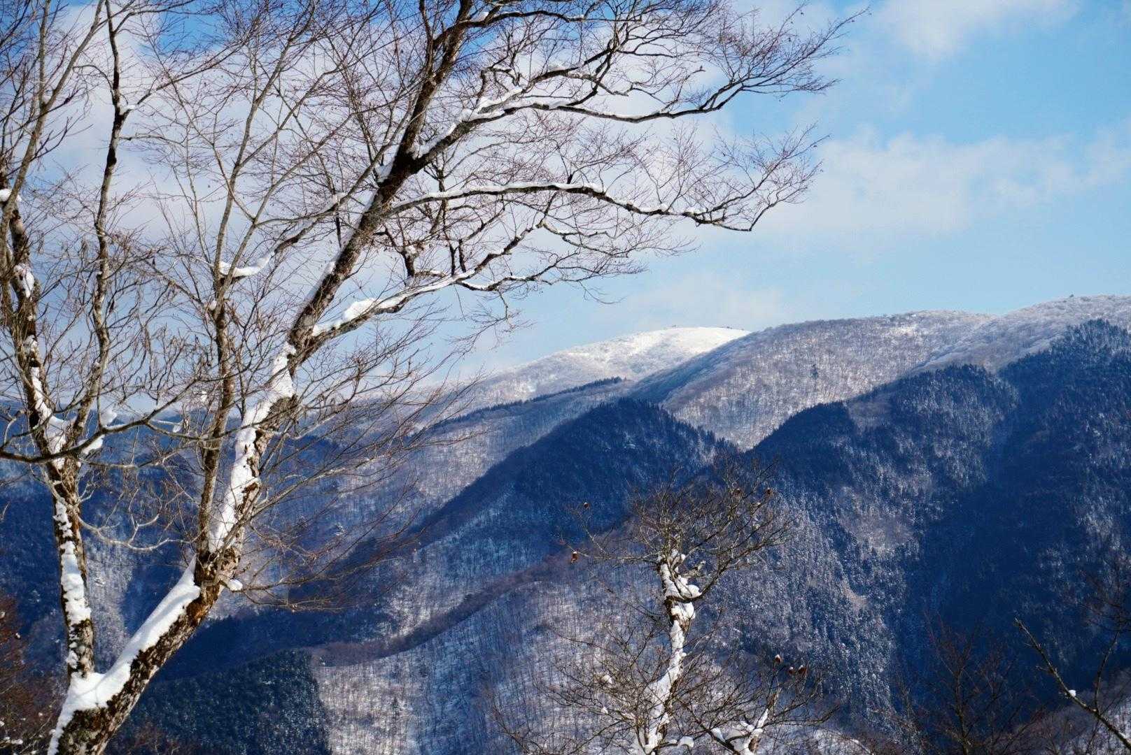 武奈ヶ岳🤍