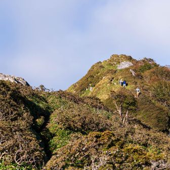 朝っぱらから縦走してきた人が山頂から続々と降りてくる
