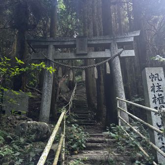 そういや、権現山の紅葉はどんな感じやろ？
帆柱権現山神社から権現山に直登します〜⛩️