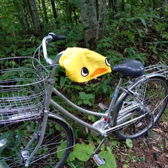 土曜日に自転車をデポしていました。
歩いたらどれくらかかるか計算したら2時間はかかるので自転車にしました。
少しだけ登りもありますが、ほぼ下り坂なので楽ちんです。
下山したら雨が降ってきましたので急いで穂高駅まで漕ぎます。
穂高駅までの道も分かりやすいので迷わず車がある所まで戻れました。

帰りの高速で工事渋滞で1時間余計に時間が掛かりましたが無事家に帰ることが出来ました。