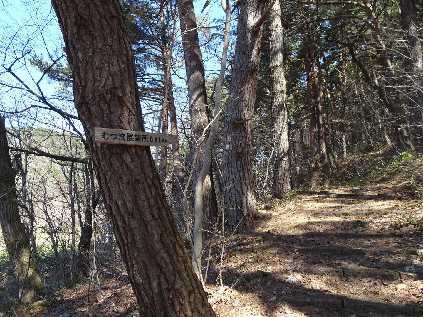 むつ湾展望所へ向かいます。