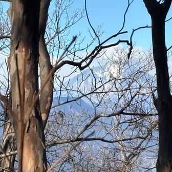 木の間から男体山