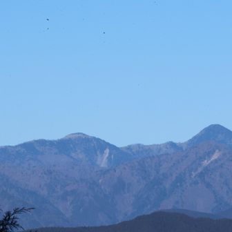 バラ谷，黒法師
近くて遠い山、家からも見えるけど私の鈍足では行けません😢