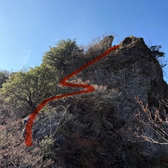 
　直登ルートはこうだ、


　灌木や草、掴むものはあるが
　足元はもろい箇所もあり要注意⚠️

　右側は何もない崖っぷち、落ちればアウトだ、

　登ることはできる、が、
　ここを降りるのはやはり危険⚠️

　ピストンは
　やめて正解だったんだよ、と、

　現地でみんなに言ってもらえて
　やっと不甲斐なさや自責の念から解放された、


　　のりちゃんを
　　　　巻き込まなくてよかった、、


