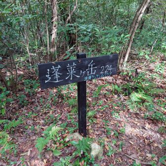 蓬莱ヶ岳