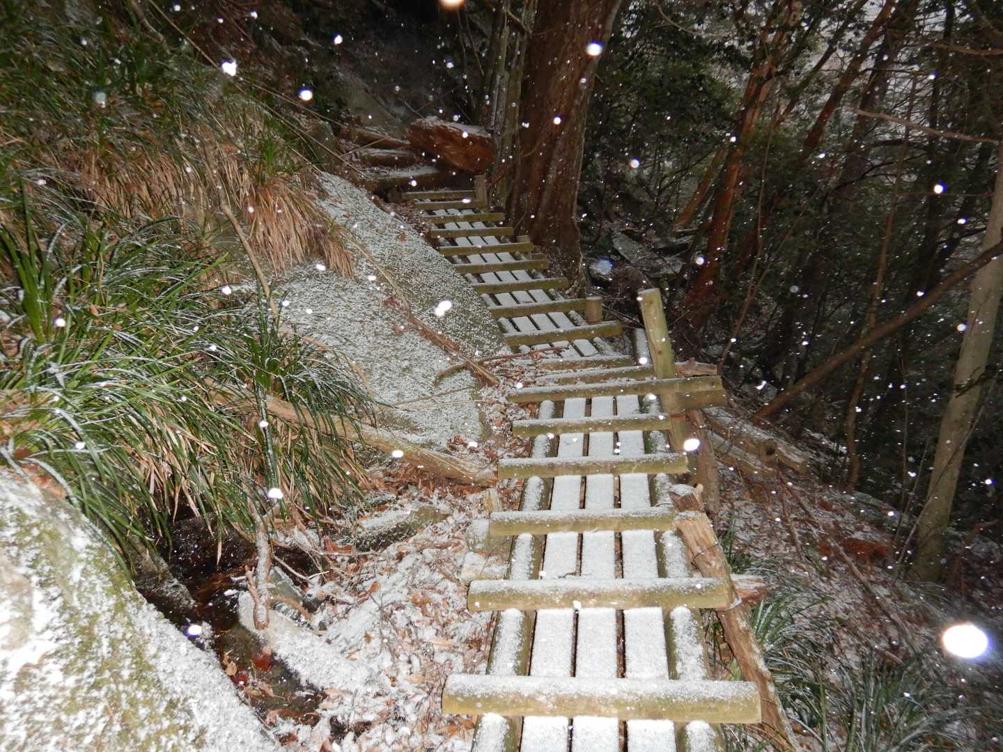 一日雪がチラつきました。