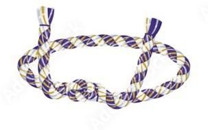 お祭り男　WaSHOI