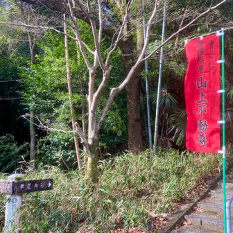 ここの階段を登ってやや左に折り返し
一旦降りる