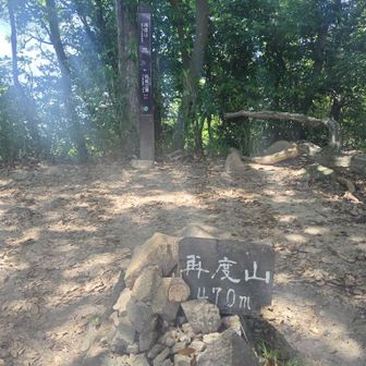 初めて来たかも笑