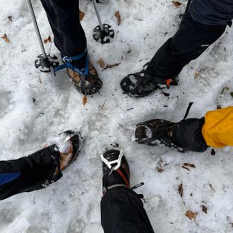 ここら辺が山頂かな？
