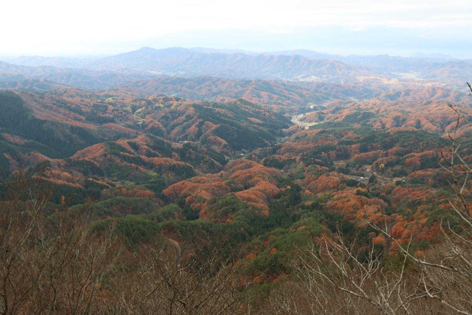 踏跡の分岐から少し奥へ行ったところからの見晴らし