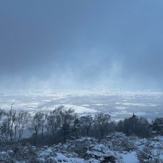 さ、温まったし、おくだりやーす😙

お、一瞬、はちのっぺの市街地見えた🤩