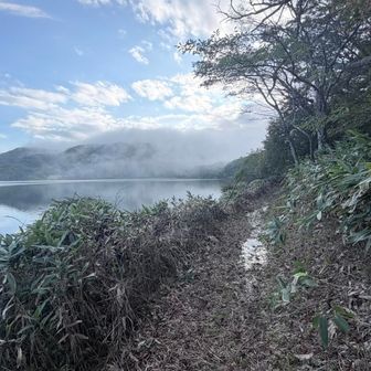 大沼周回🚶‍♀️‍➡️周回は1時間コース