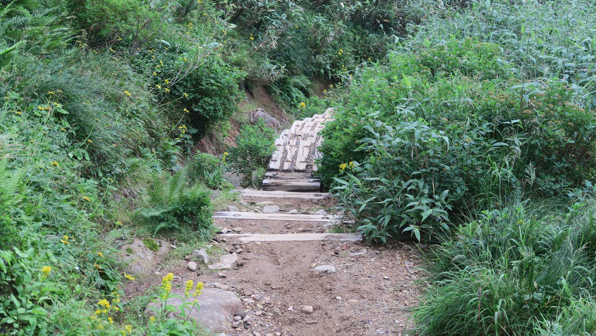 上ホロカメットク山-十勝岳 縦走コースの写真