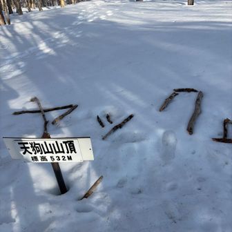 小樽のやっくさん（🏃‍♀️‍➡️）の毎朝のトレ山