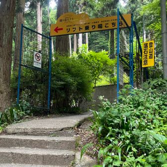 登山口は、リフト乗り場の隣にあります