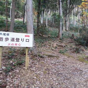 この看板が目印👍らしい笑なかなか見つからず😅
やっと南尾根スタート✨