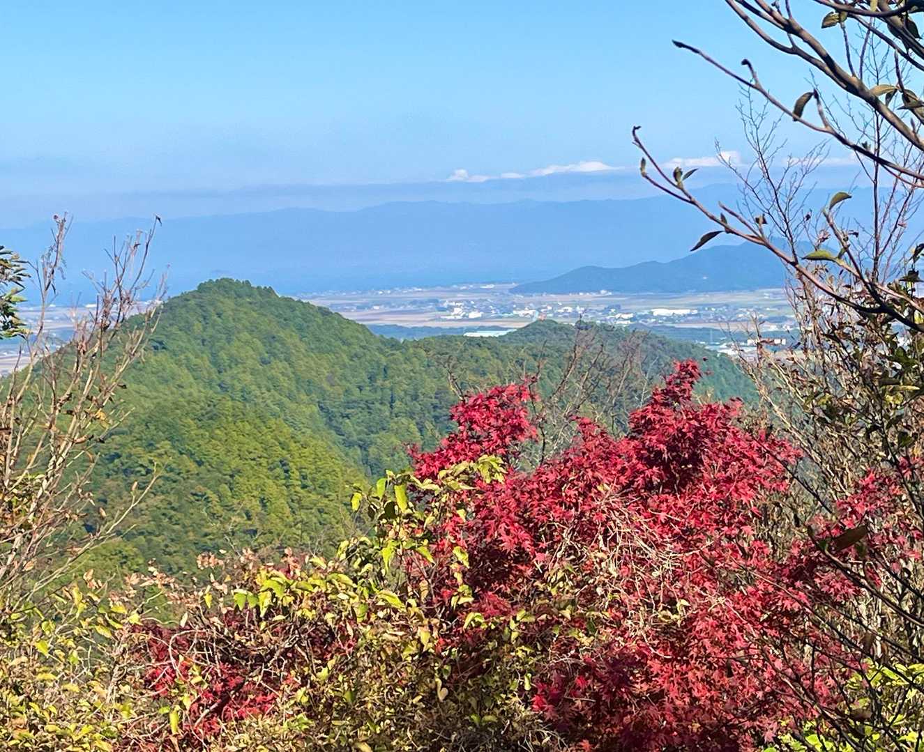 綺麗だなぁ