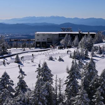 ロープウェイ駅から坪庭を少し散策