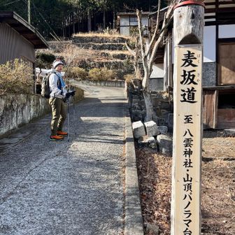 麦坂道というところから上がります