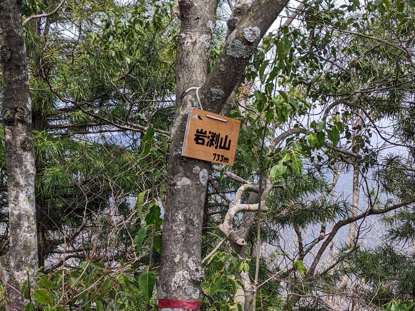スタートして4時間20分😅やっとこさ一座目岩渕山到着