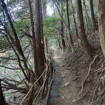 しばらく斜度の無い道