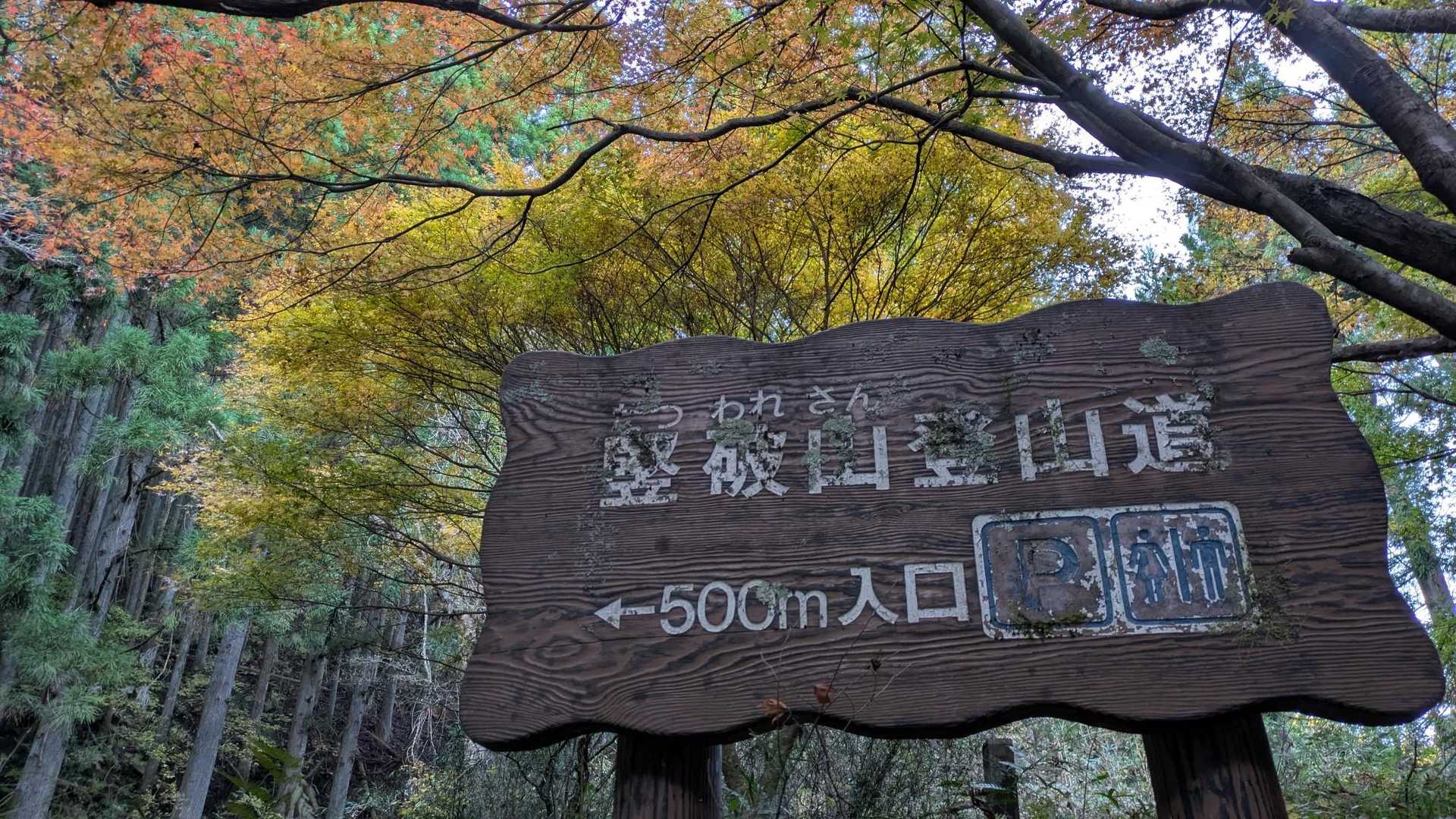 もう既に紅葉に魅せられている
🚙おいらも連れてきて欲しかったなー