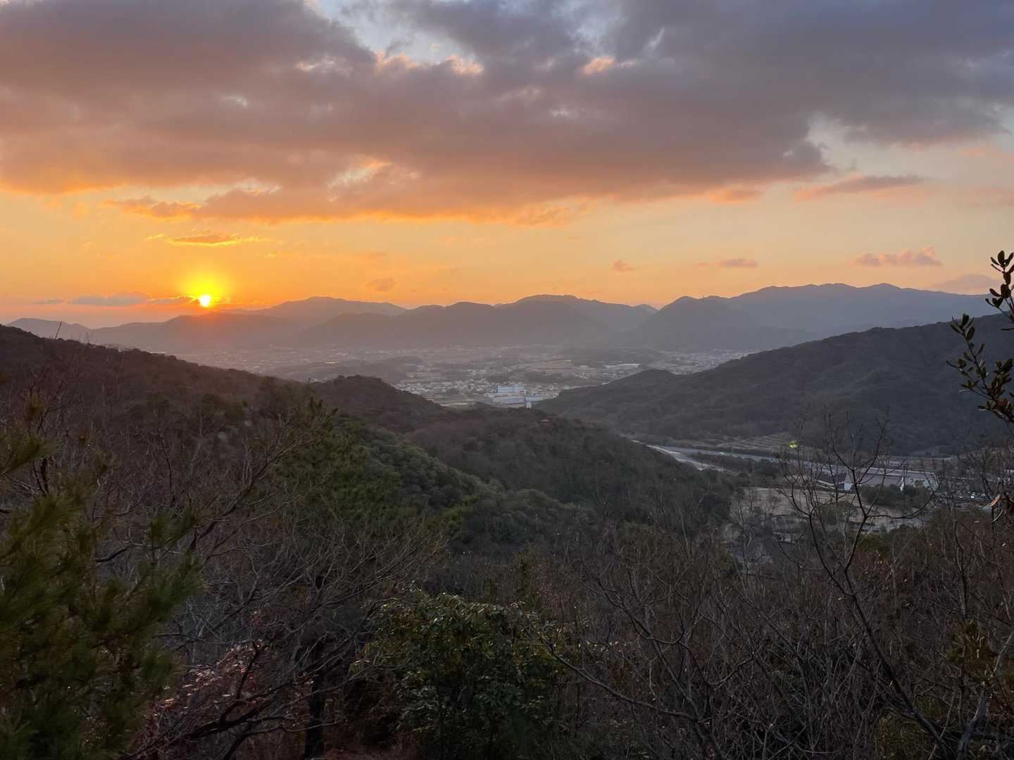 下山途中でやっと出ました