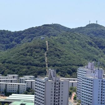 あちら下山してきたんですよー。膝の痛みマシでホッ☺️