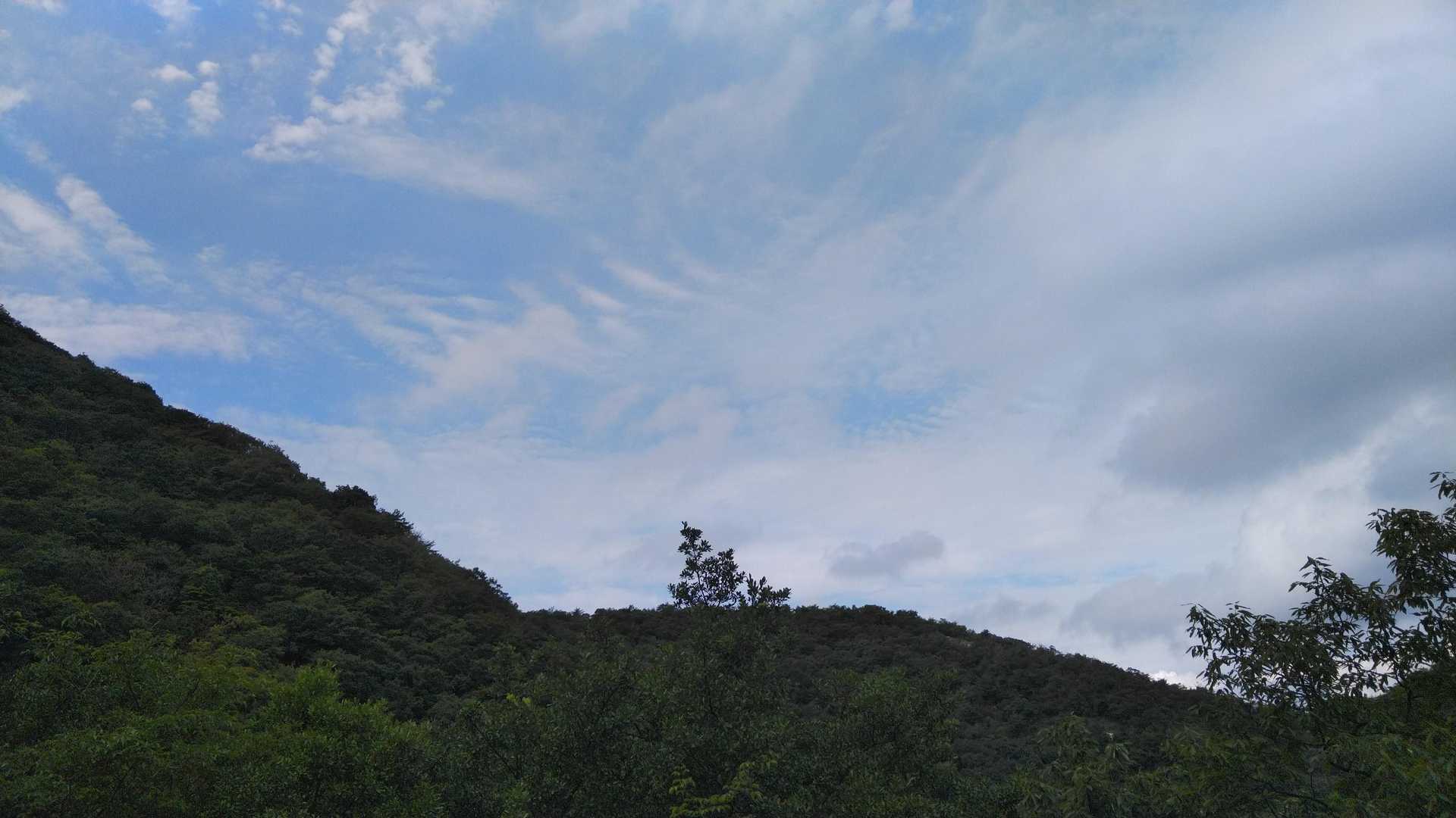 いつもの定点ショット。
