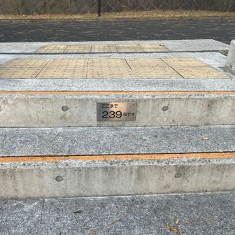 全部で239段あった💦こたえる〜😆

そう言えば、大学生のころトレーニングしてた階段が260段だった。走って5往復、友達おんぶして5往復とかやってた🏃‍♂️💦