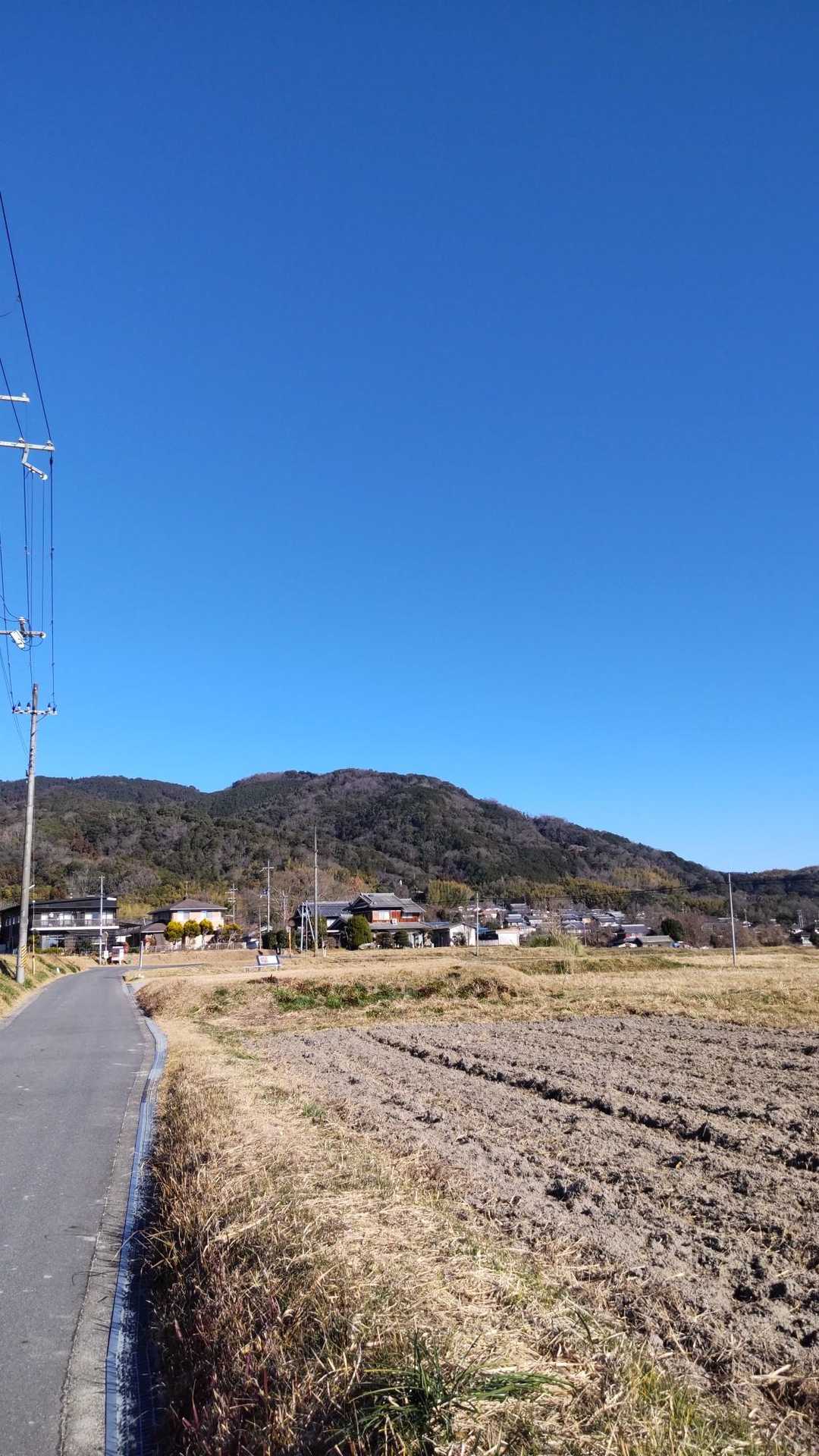 三上山 往復コースの写真