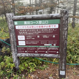 さあ行くよー🏃