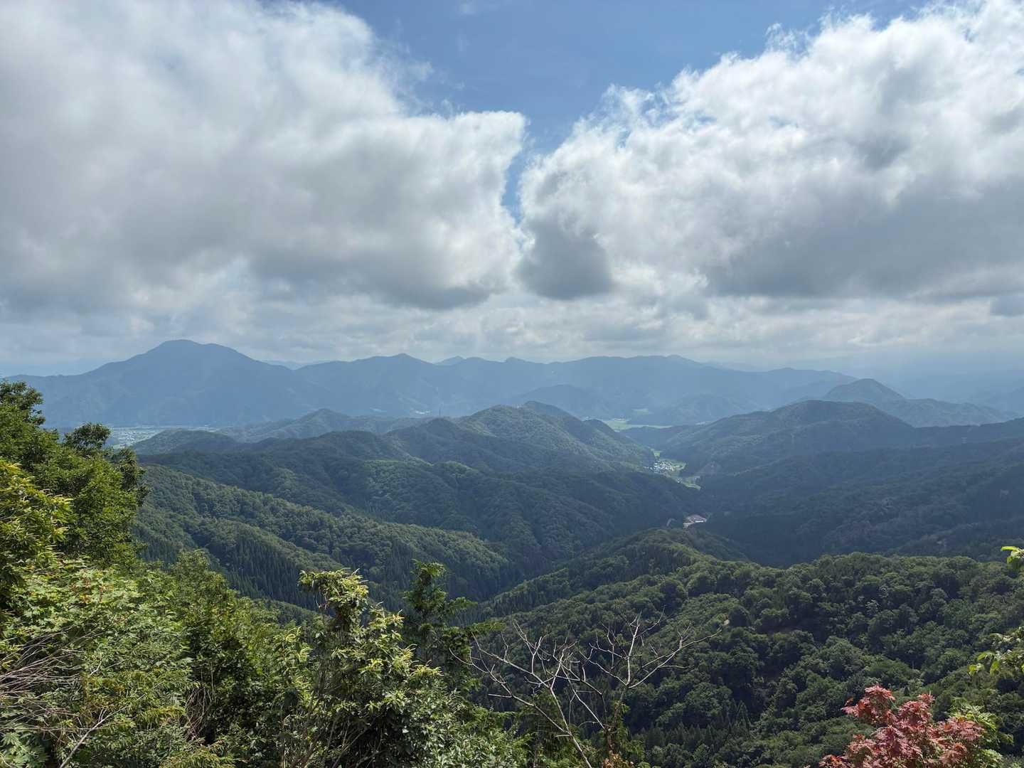 第二登山口-足谷山-菅谷峠-ホノケ山-高頭山 周回コースの写真