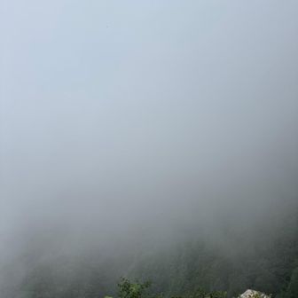 真っ白。