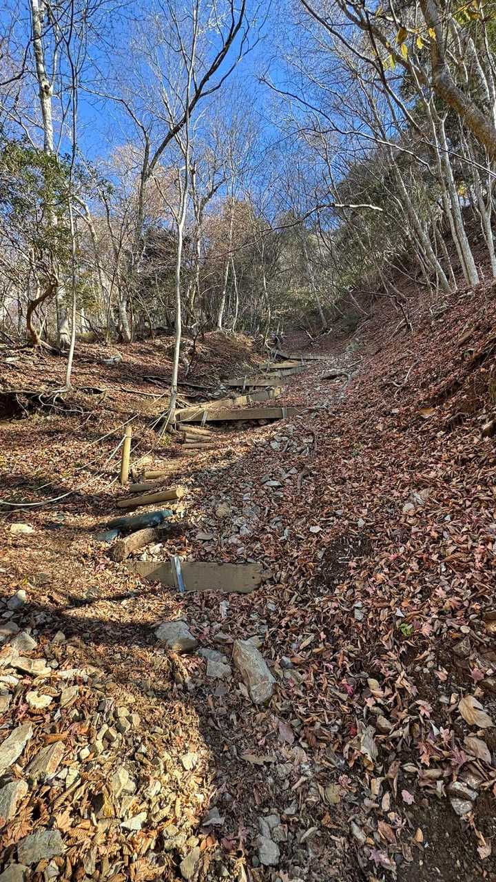 西丹沢縦走（西丹沢VC〜犬越路〜檜洞丸〜箒沢橋） の写真 11