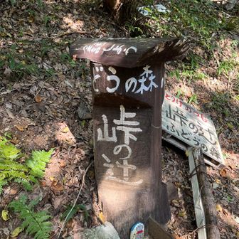 分岐　大岩不動から土の斜面の急坂を登ったところ