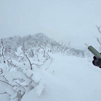 さっきの坊谷山😙