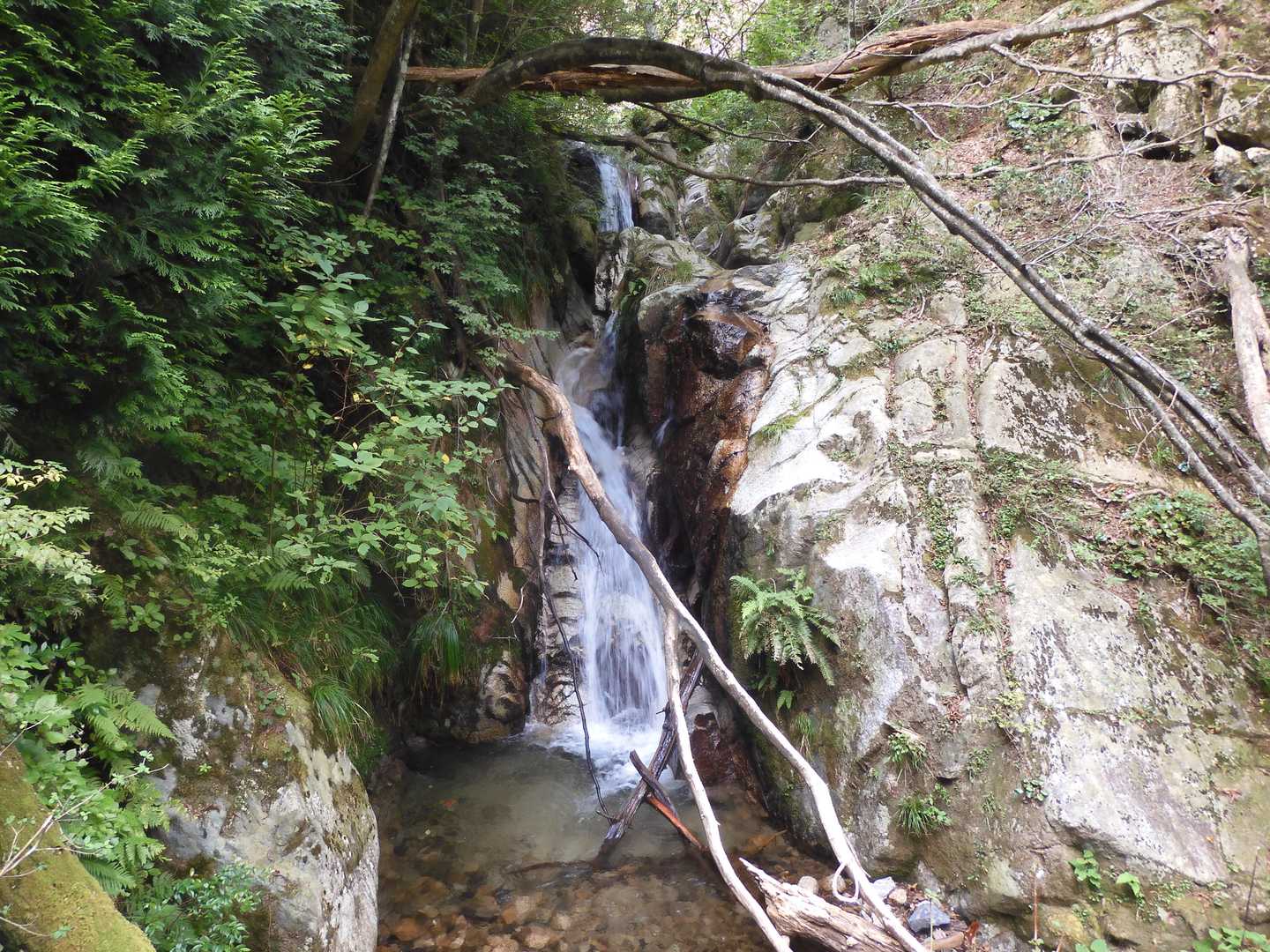 武奈ヶ岳-細川越 周回コースの写真