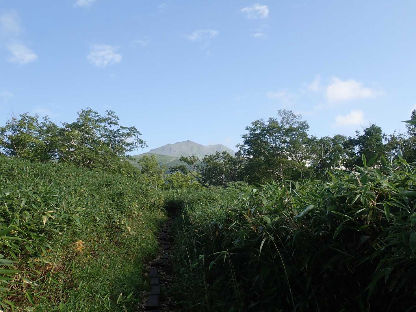 目指す山頂かな？