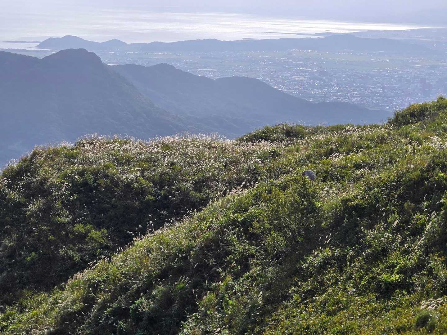 中峠-偽水晶山-水晶山 往復コースの写真