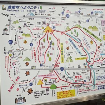 一旦駅前着。案内所でミツマタバレーの場所を教えていただき、いざ🌼