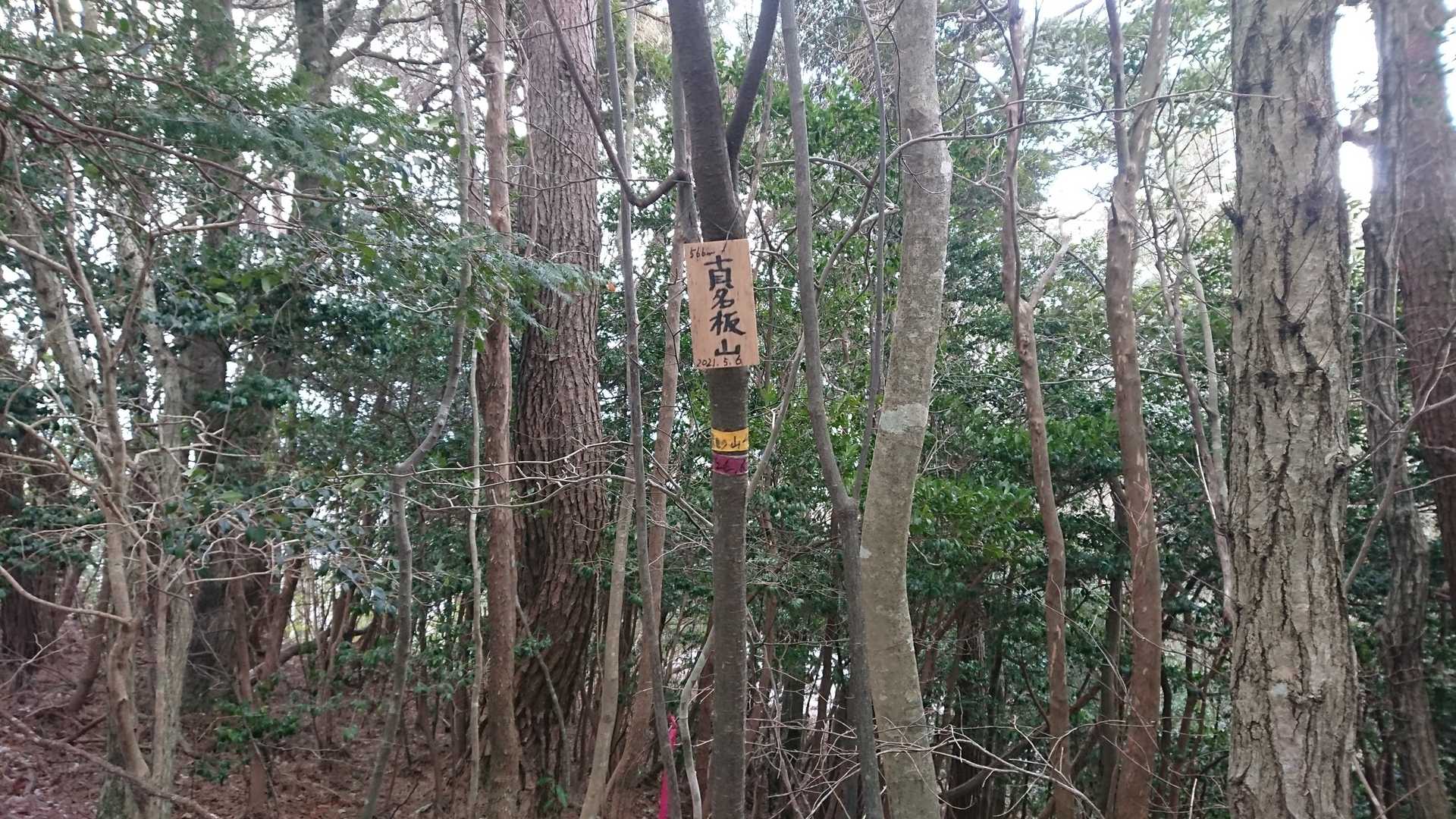 頂上