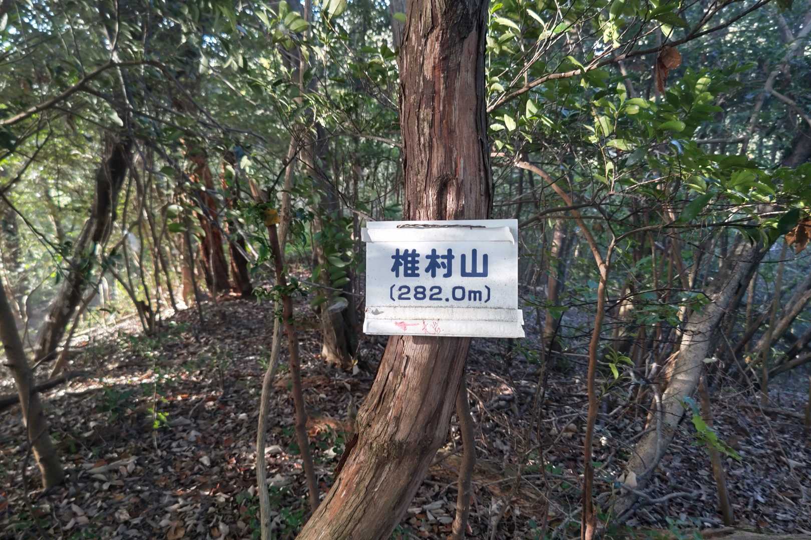 しばらく歩いて椎村山山頂到着(^-^)v
