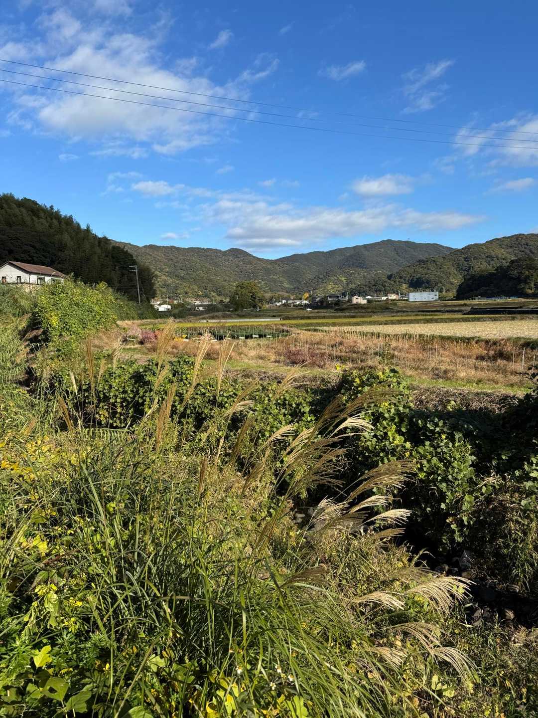 良い天気15度前後快適です。