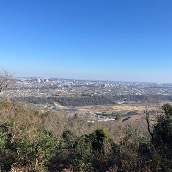 鷹討場からの眺め