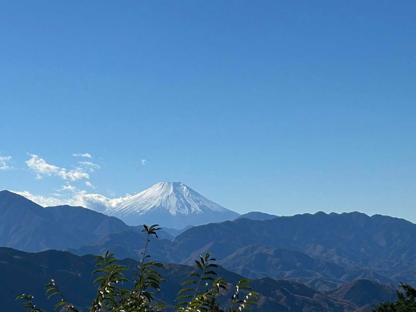 稲荷山コース入口-稲荷山-一丁平園地 往復コースの写真